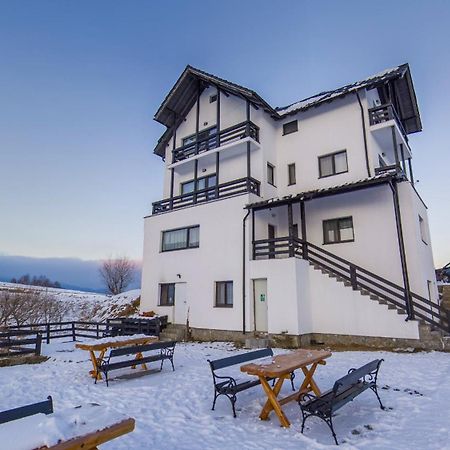 Vila Luca-Hotel Şirnea Buitenkant foto